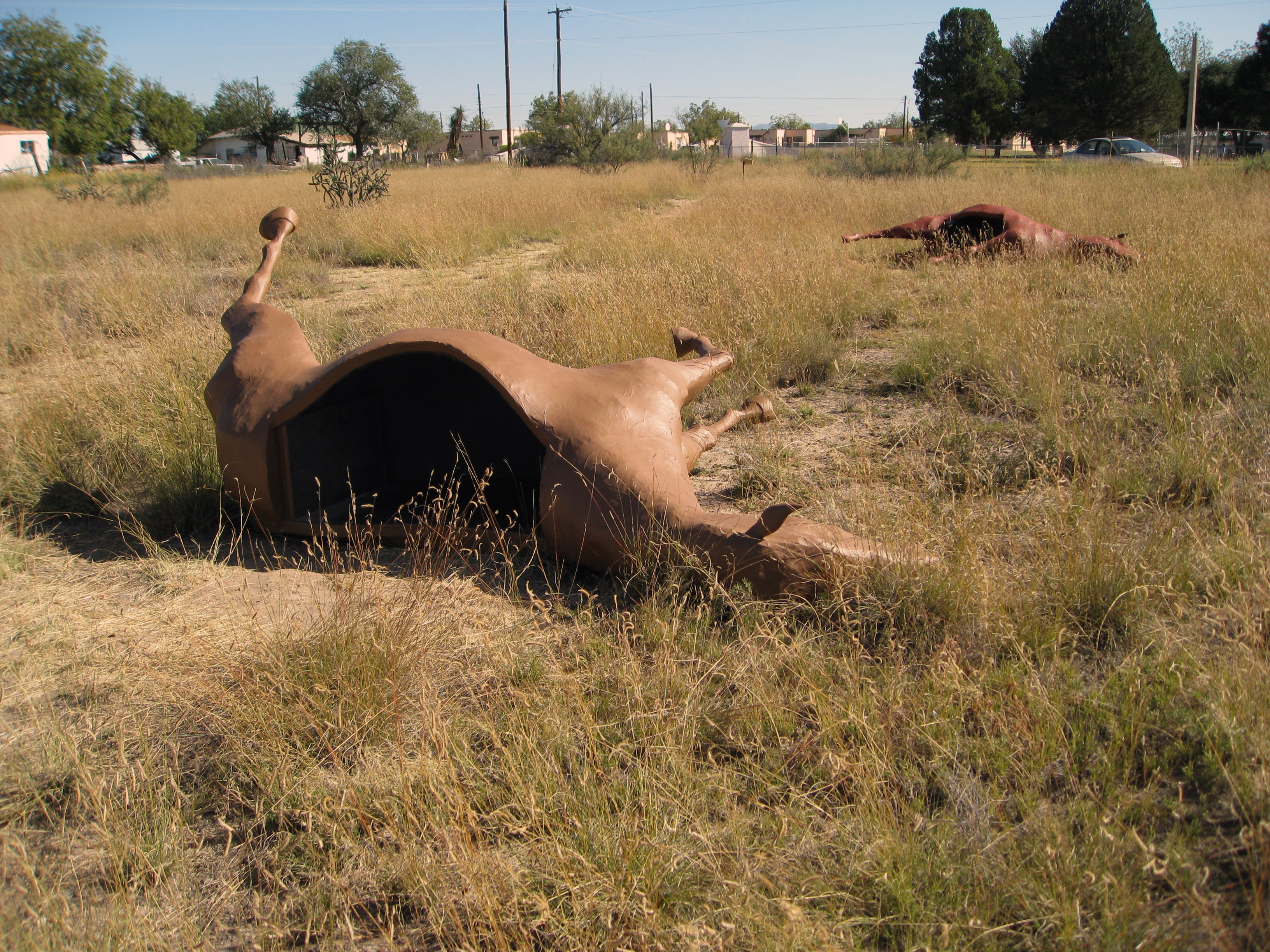 Deborah Stratman and Steve Badgett, Caballos de Vigilancia, 2008